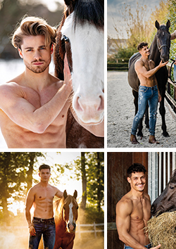 Cartes postales de Horse and Hunk 2022