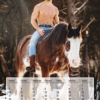 Horse and Hunk calendrier 2022 - Image 2