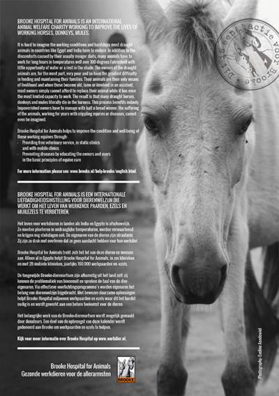 Horse and Hunk calendrier 2023 - Image 2