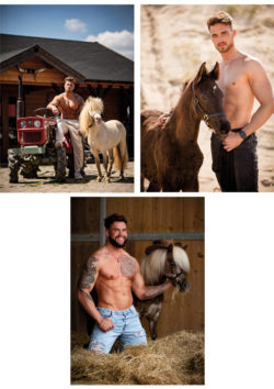 Cartes postales de Horse and Hunk 2023