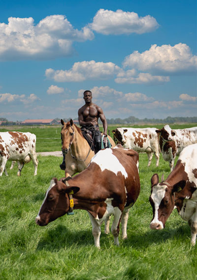 Cartes postales de Horse and Hunk 2024 - Image 3