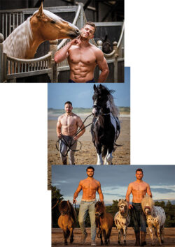 Cartes postales Horse and Hunk 2025