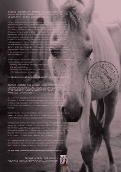 Horse and Hunk calendrier 2026 - Image 2