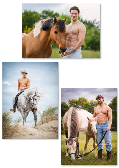 Cartes postales Horse and Hunk 2026