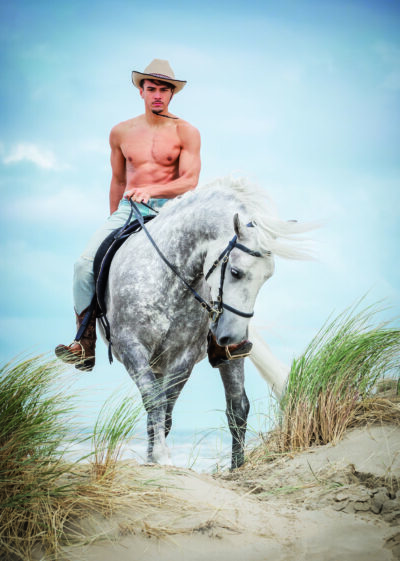 Cartes postales Horse and Hunk 2026 - Image 3